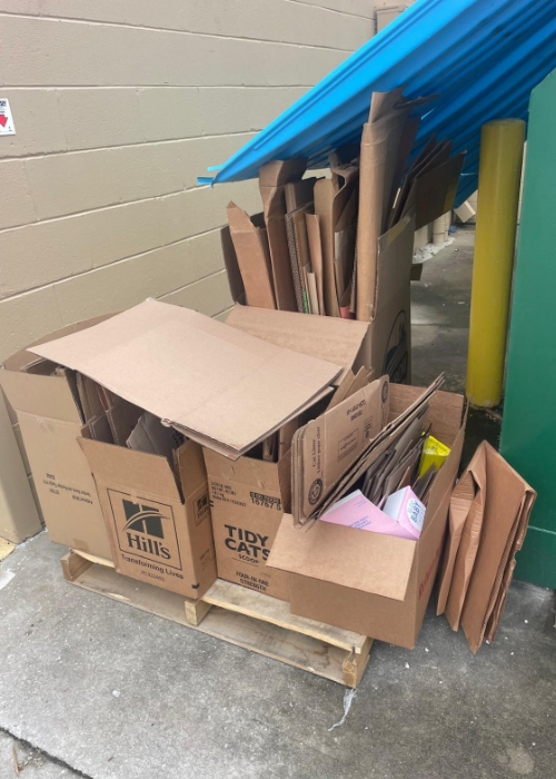 dumpster condo cleanout 3